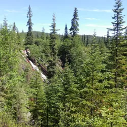 Greenwich Bay Trail - Labrador City