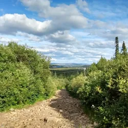 Greenwich Bay Trail - Labrador City