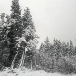 Labrador City Ski Club - Labrador City