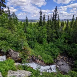 Red Pine Trail - Labrador City