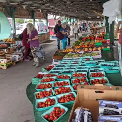 Marché Public de Lachute - Lachute