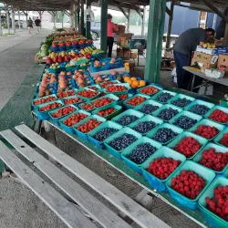 Marché Public de Lachute - Lachute