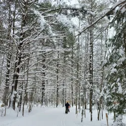 Parc du Domaine Vert - Lachute
