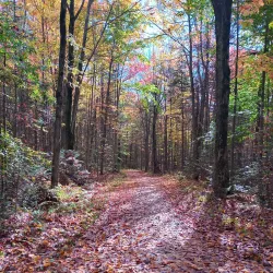 Parc du Domaine Vert - Lachute