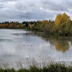 Downtown Lacombe - Lacombe