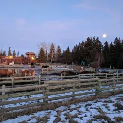 Heritage Ranch - Lacombe