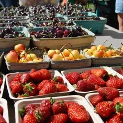 Lacombe Farmers Market - Lacombe