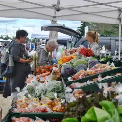 Lacombe Farmers Market - Lacombe