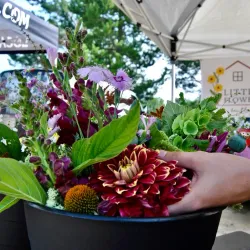 Lacombe Farmers Market - Lacombe
