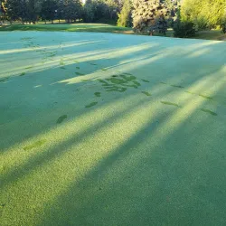 Lacombe Golf & Country Club - Lacombe