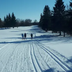 Lacombe Golf & Country Club - Lacombe