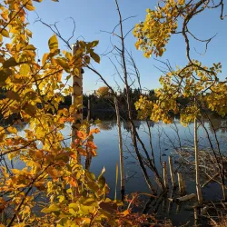 Lacombe Heritage Trail - Lacombe