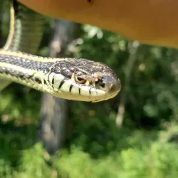 Lacombe Heritage Trail - Lacombe