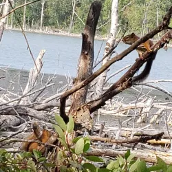 Lacombe Heritage Trail - Lacombe