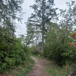 Lacombe Heritage Trail - Lacombe