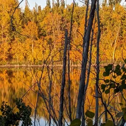 Lacombe Heritage Trail - Lacombe