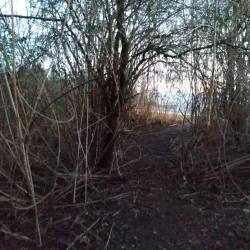 Ladner Harbour Park - Ladner