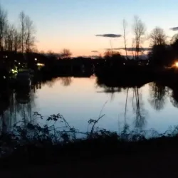 Ladner Harbour Park - Ladner