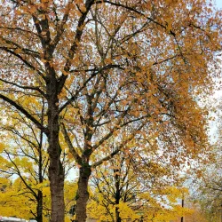 Ladner Leisure Centre - Ladner