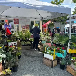 Ladner Village Market - Ladner