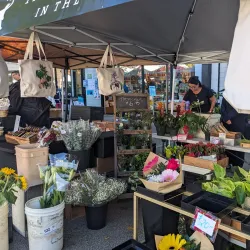 Ladner Village Market - Ladner