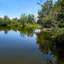Westham Island - Ladner