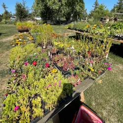 Westham Island - Ladner