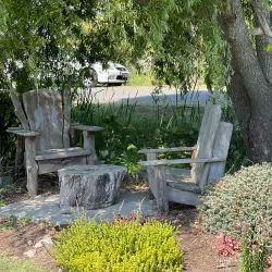 Westham Island - Ladner