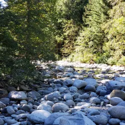 Westham Island - Ladner