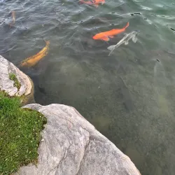 Laval Zoo (Zoo de Laval) - Laval