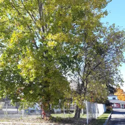 Maison des jeunes de Laval - Laval