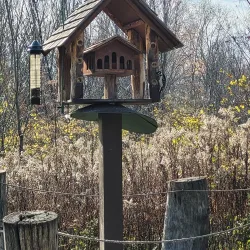 Nature Centre of Laval (Centre écologique Fernand-Seguin) - Laval