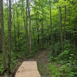 Nature Centre of Laval (Centre écologique Fernand-Seguin) - Laval