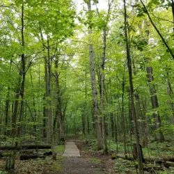 Nature Centre of Laval (Centre écologique Fernand-Seguin) - Laval