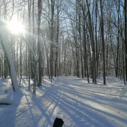 Nature Centre of Laval (Centre écologique Fernand-Seguin) - Laval