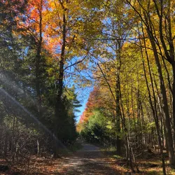 Nature Centre of Laval (Centre écologique Fernand-Seguin) - Laval