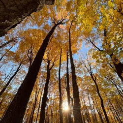Nature Centre of Laval (Centre écologique Fernand-Seguin) - Laval