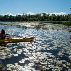 Parc de la Rivière-des-Mille-Îles - Laval