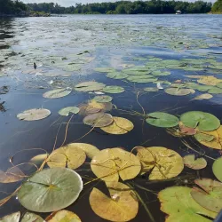 Parc de la Rivière-des-Mille-Îles - Laval