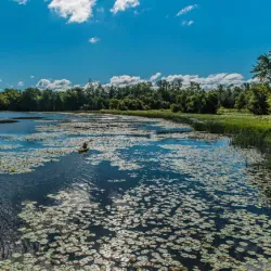 Parc de la Rivière-des-Mille-Îles - Laval