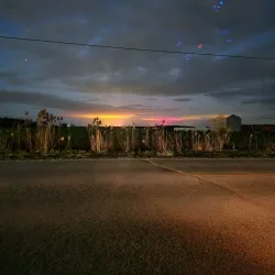 Leamington Farmers' Market - Leamington