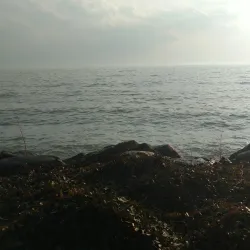 Leamington Golf Club - Leamington