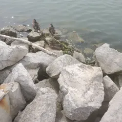 Leamington Marina - Leamington