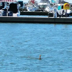 Leamington Marina - Leamington