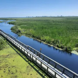 Point Pelee National Park - Leamington