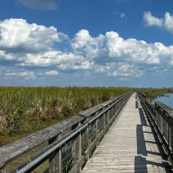Point Pelee National Park - Leamington