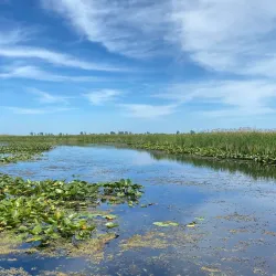 Point Pelee National Park - Leamington