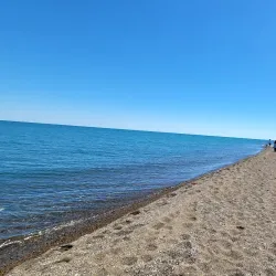 Point Pelee National Park - Leamington