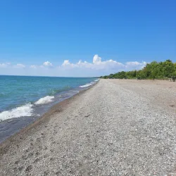 Point Pelee National Park - Leamington