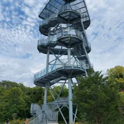 Point Pelee National Park - Leamington